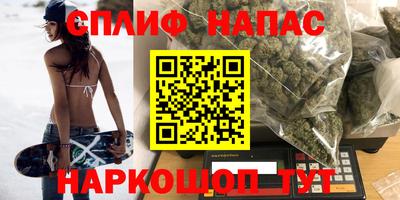 Альфа ПВП Дубна