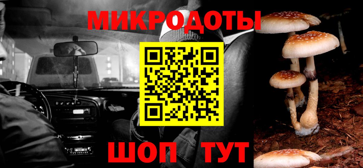 Галлюциногенные грибы Psilocybe  Галлюциногенные грибы мицелий  Вход с VPN  Шелехов 