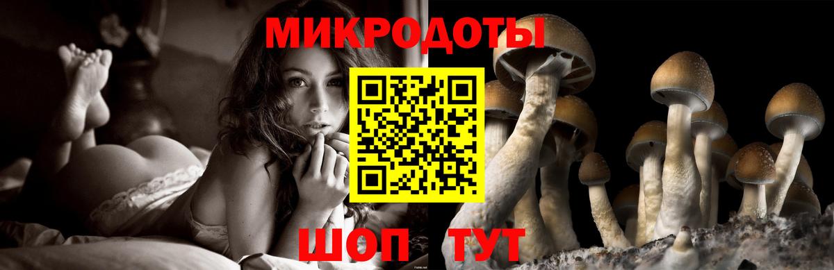Псилоцибиновые грибы мухоморы Шелехов